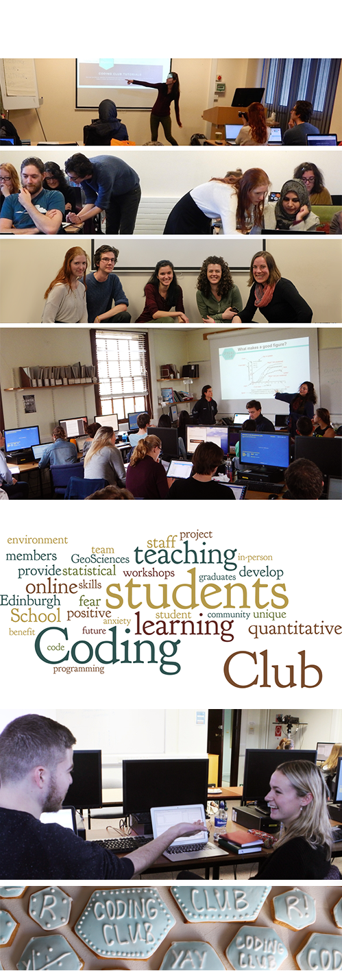 Programming Club Projrects Coding Club